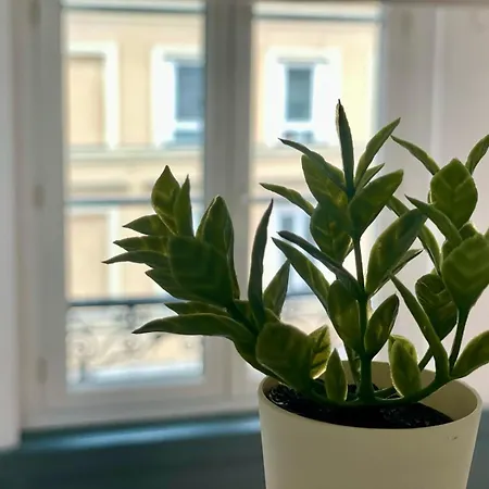 Apartment Fleurette - 311 *